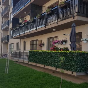 20200603_092934 20200603_092934